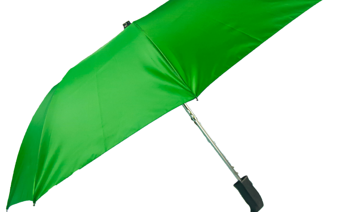 2 Fold Automatic Umbrella (BT2FA)
