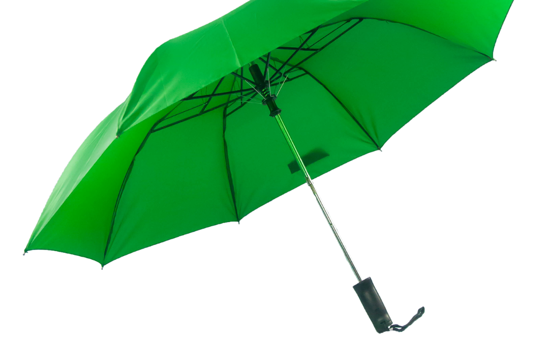 2 Fold Automatic Umbrella (BT2FA)