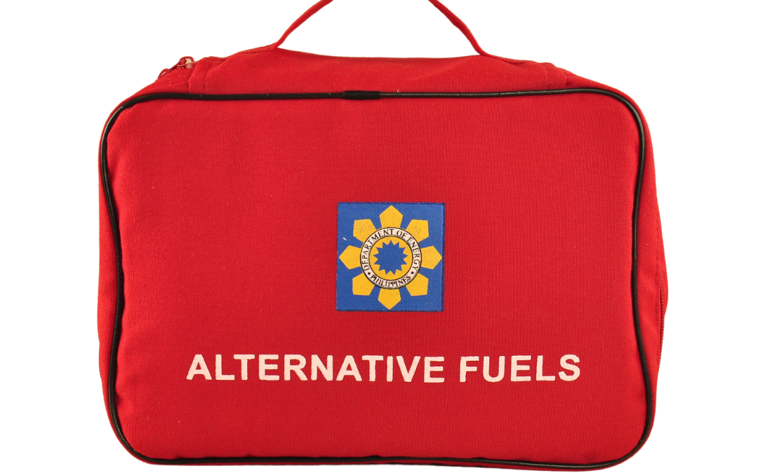 Custom Travel Bag (Health Kit)