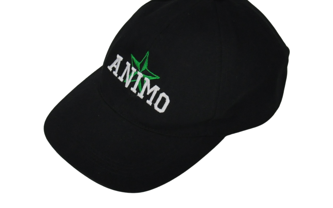 Custom Adjustable Baseball Cap (Animo –  La Salle )