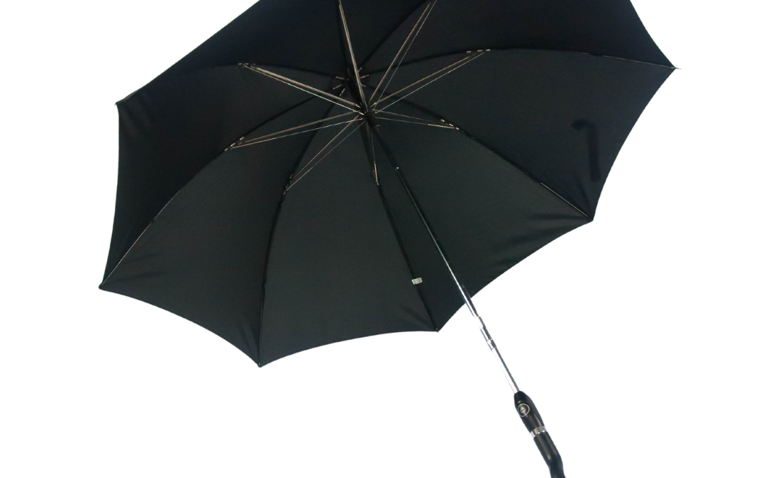 Cane Umbrella (Ready Made)